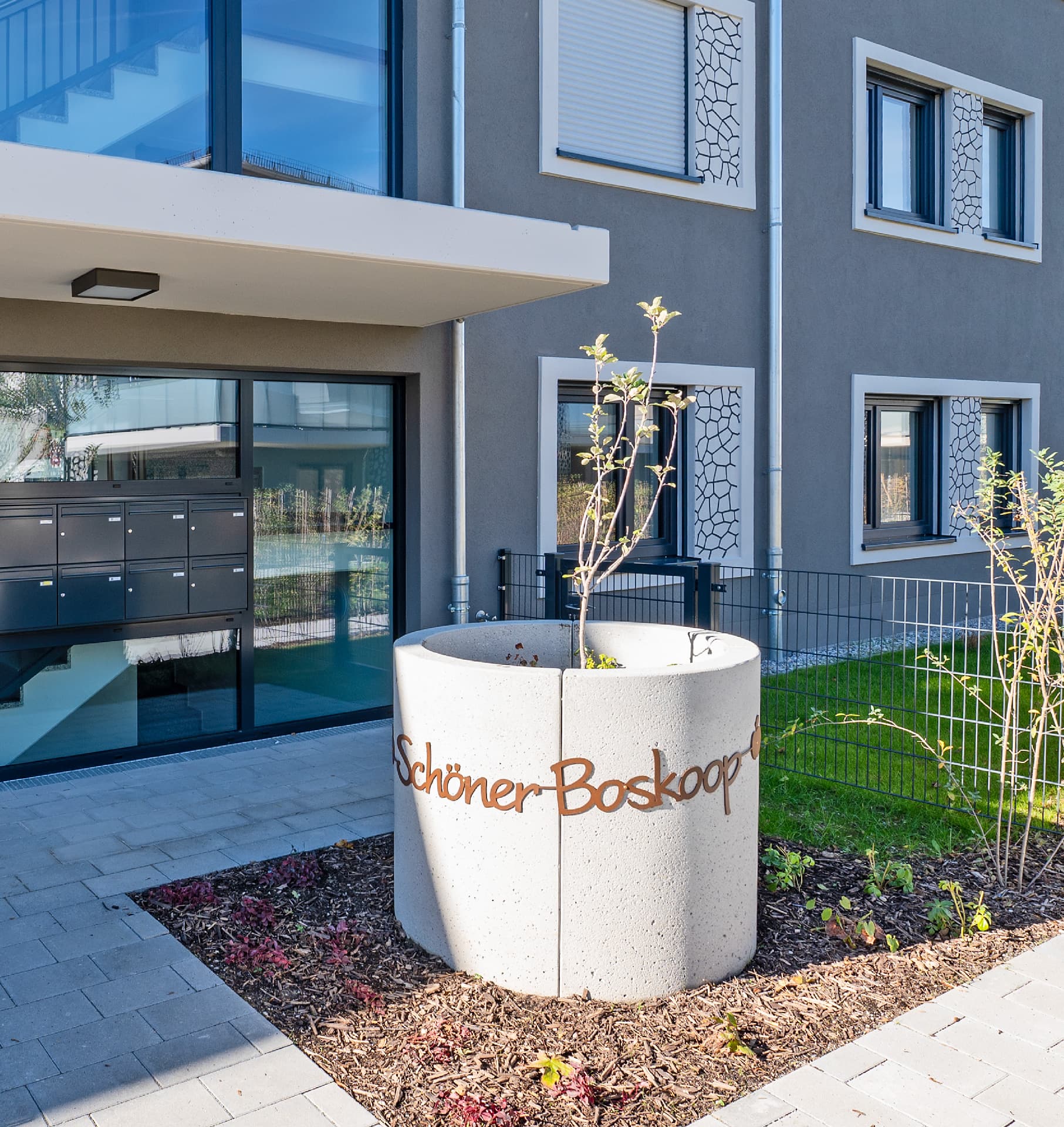 Junges Apfelbäumchen gepflanzt in Betonrohr vor Hauseingang in der Wohnanlage Apfelwiese Putzbrunn bei München